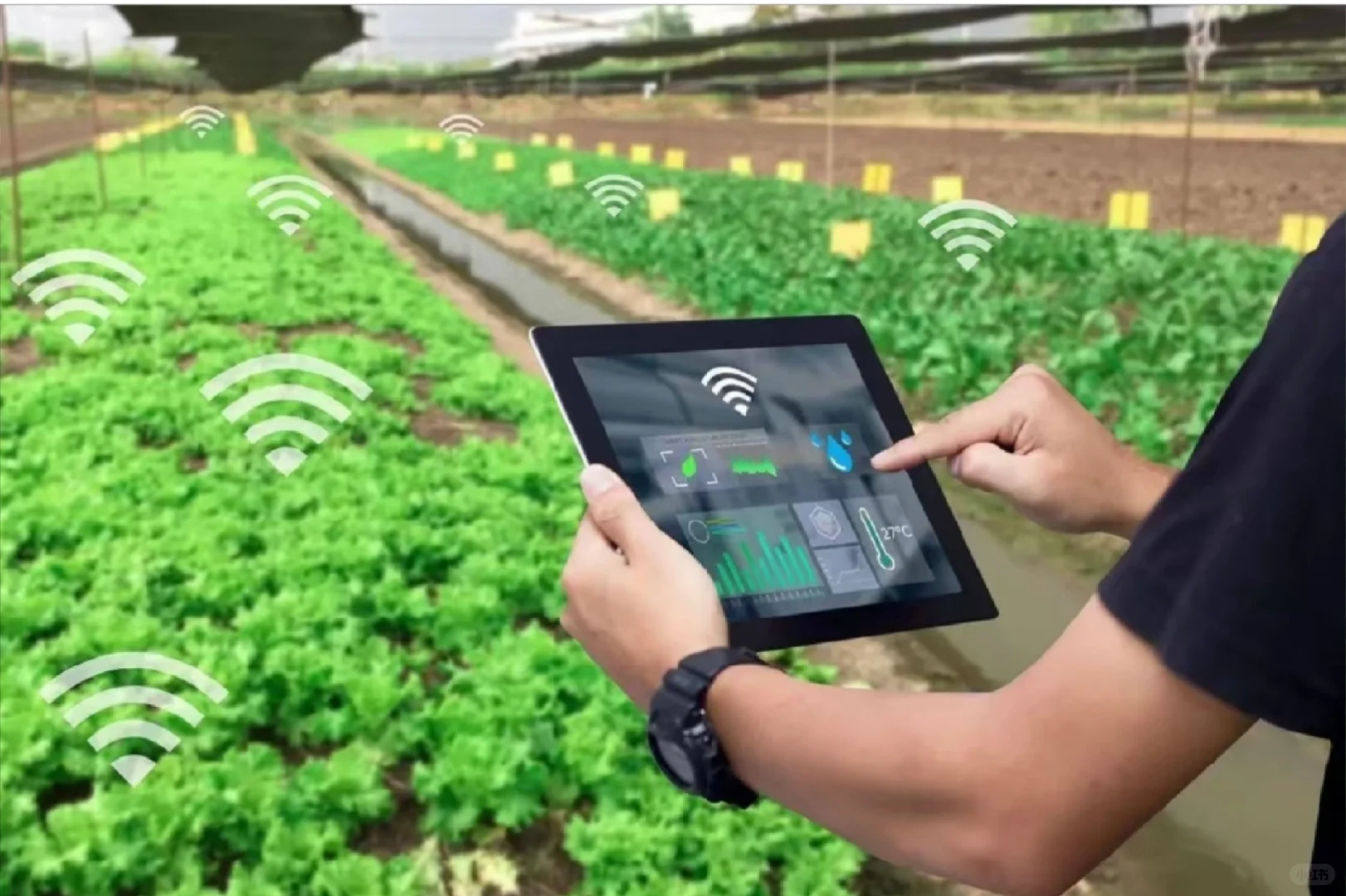 为什么要做智慧农业？