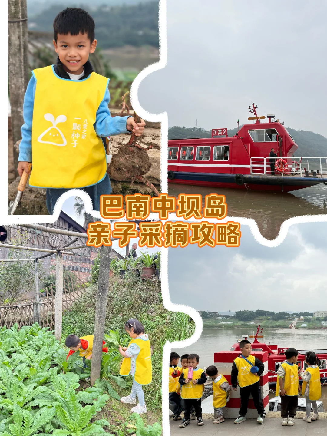 亲子游 | 巴南中坝岛 蔬菜采摘