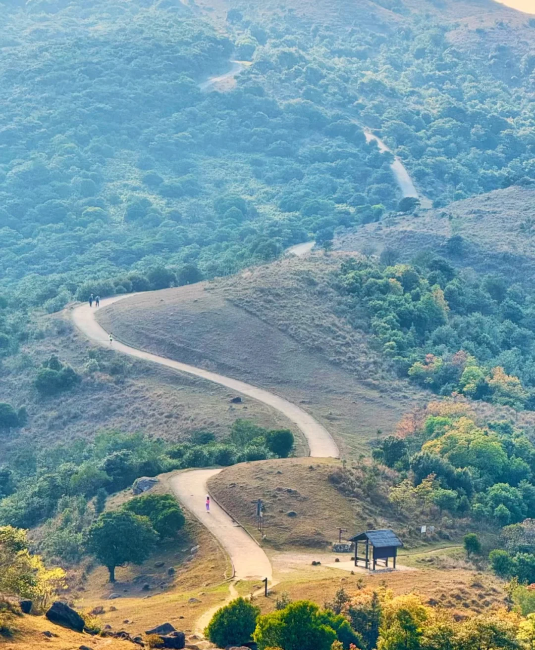 香港大帽山 周日11月23日