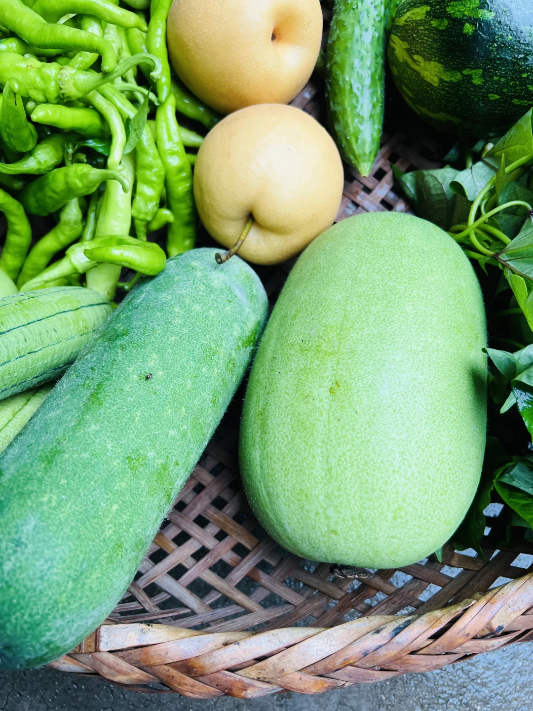 不好意思！最近只有这些菜❗️