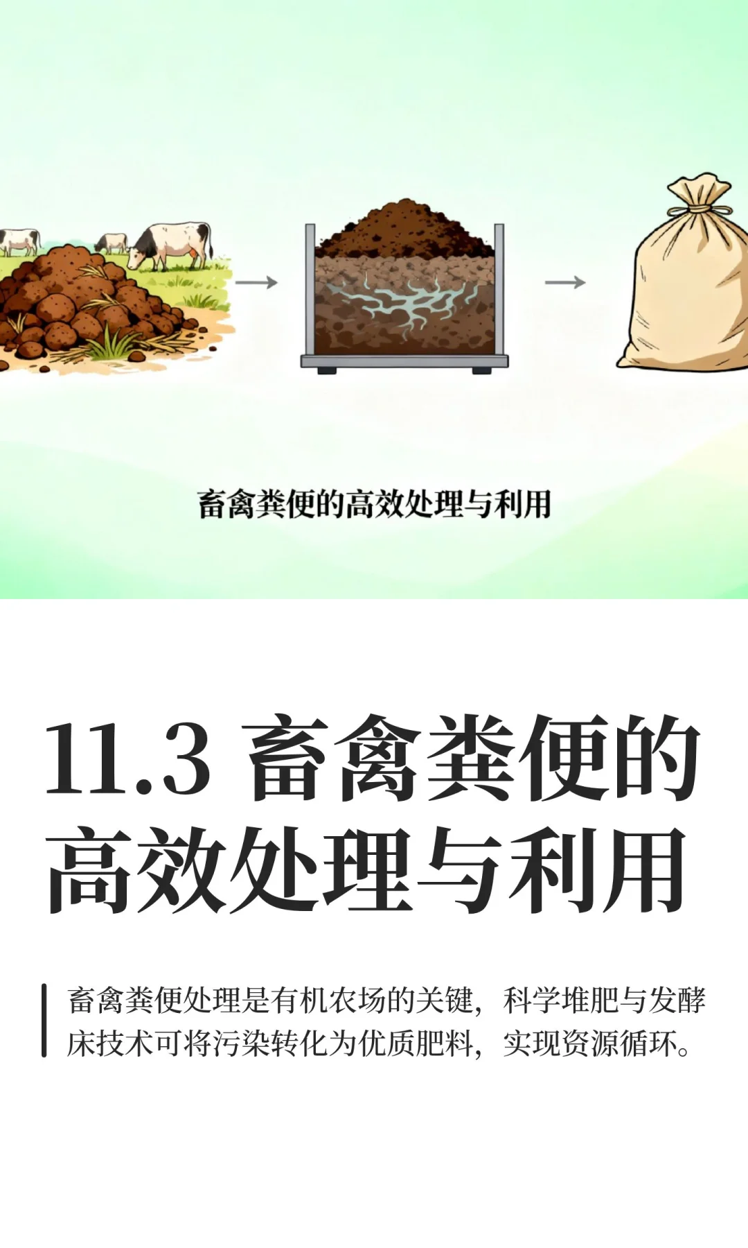 11.3 畜禽粪便的高效处理与利用