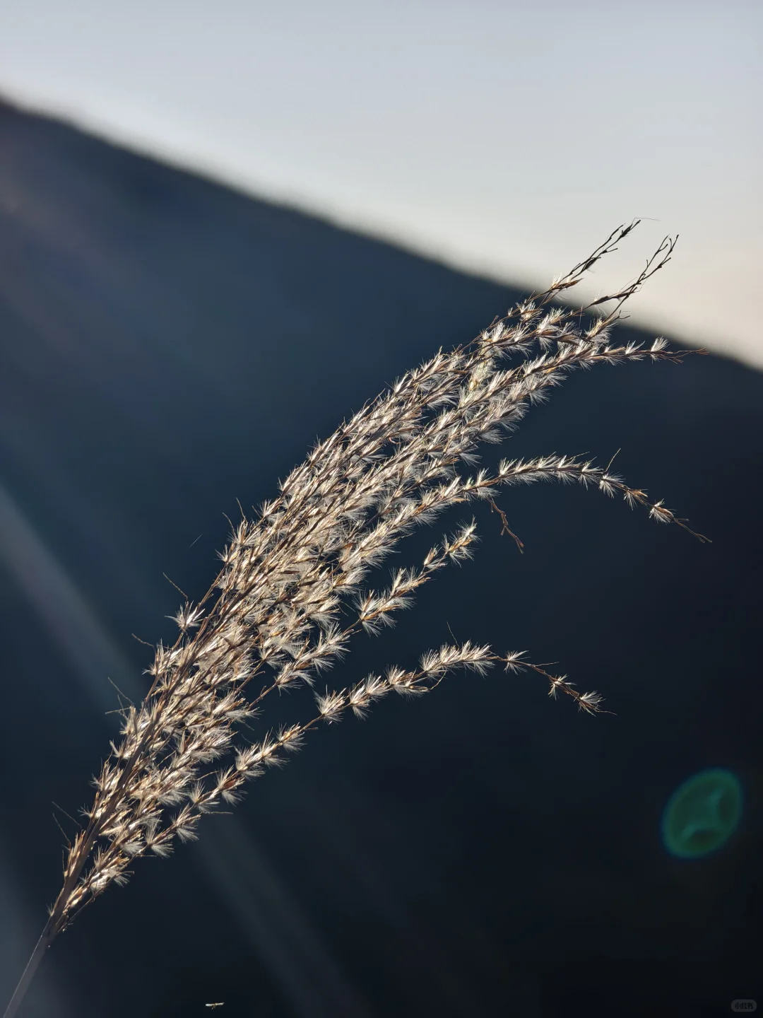?武功山反穿攻略｜2天1夜暴走31km 捡垃圾