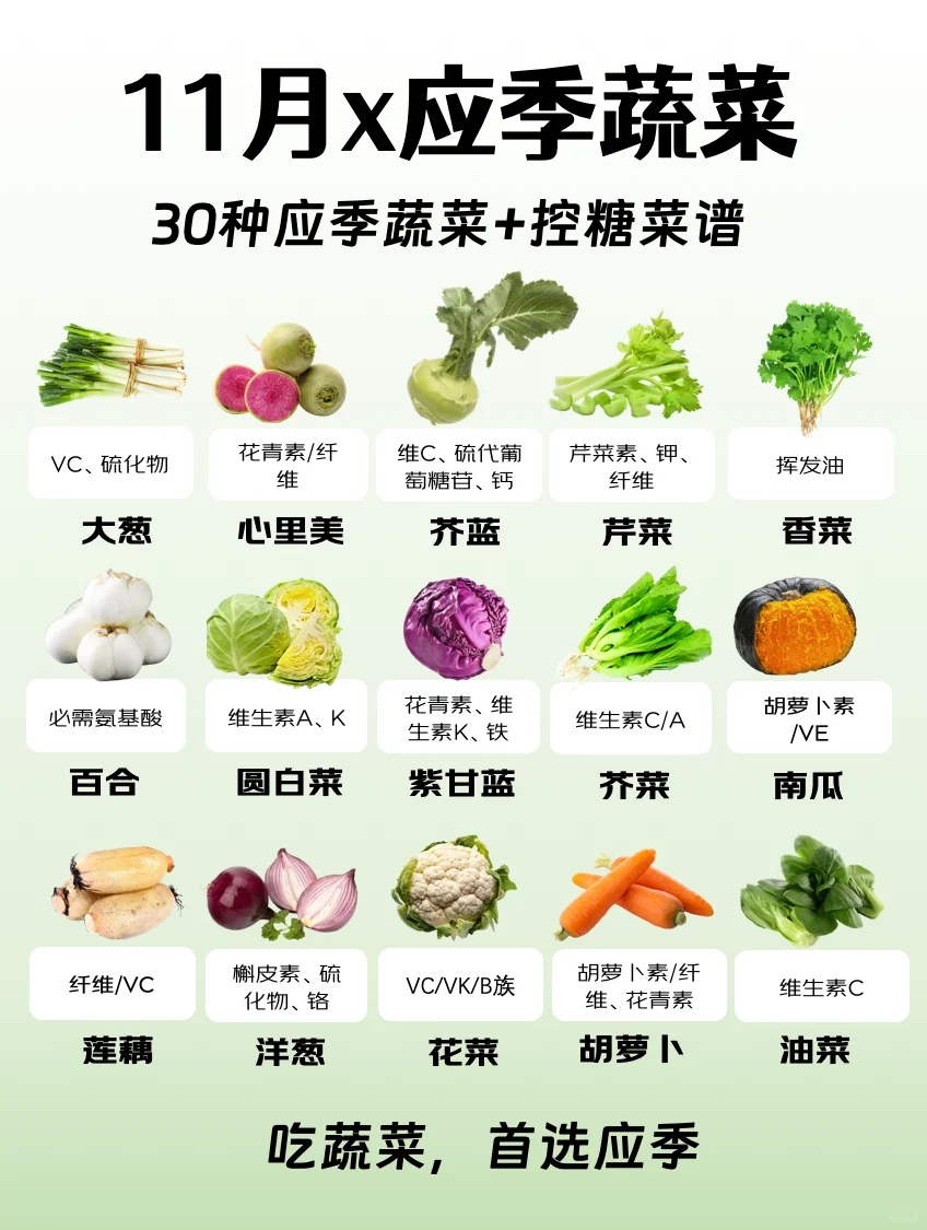 11月应季蔬菜✅冬日养生进补蔬菜选择指南