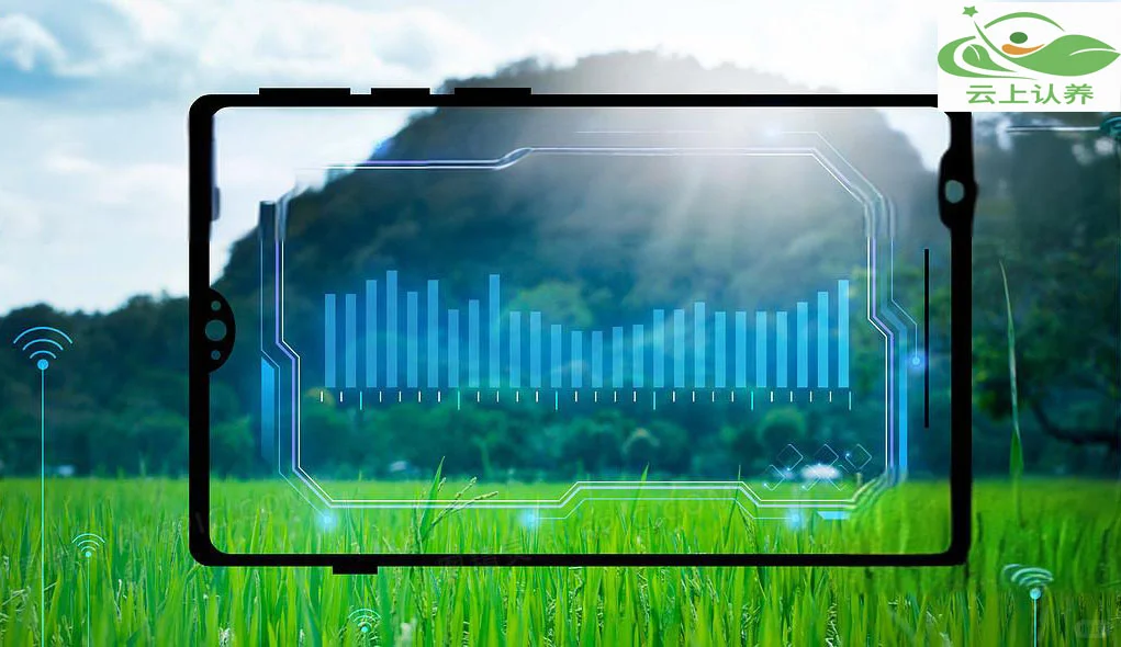 云上认养——智慧农业到底智慧在哪？