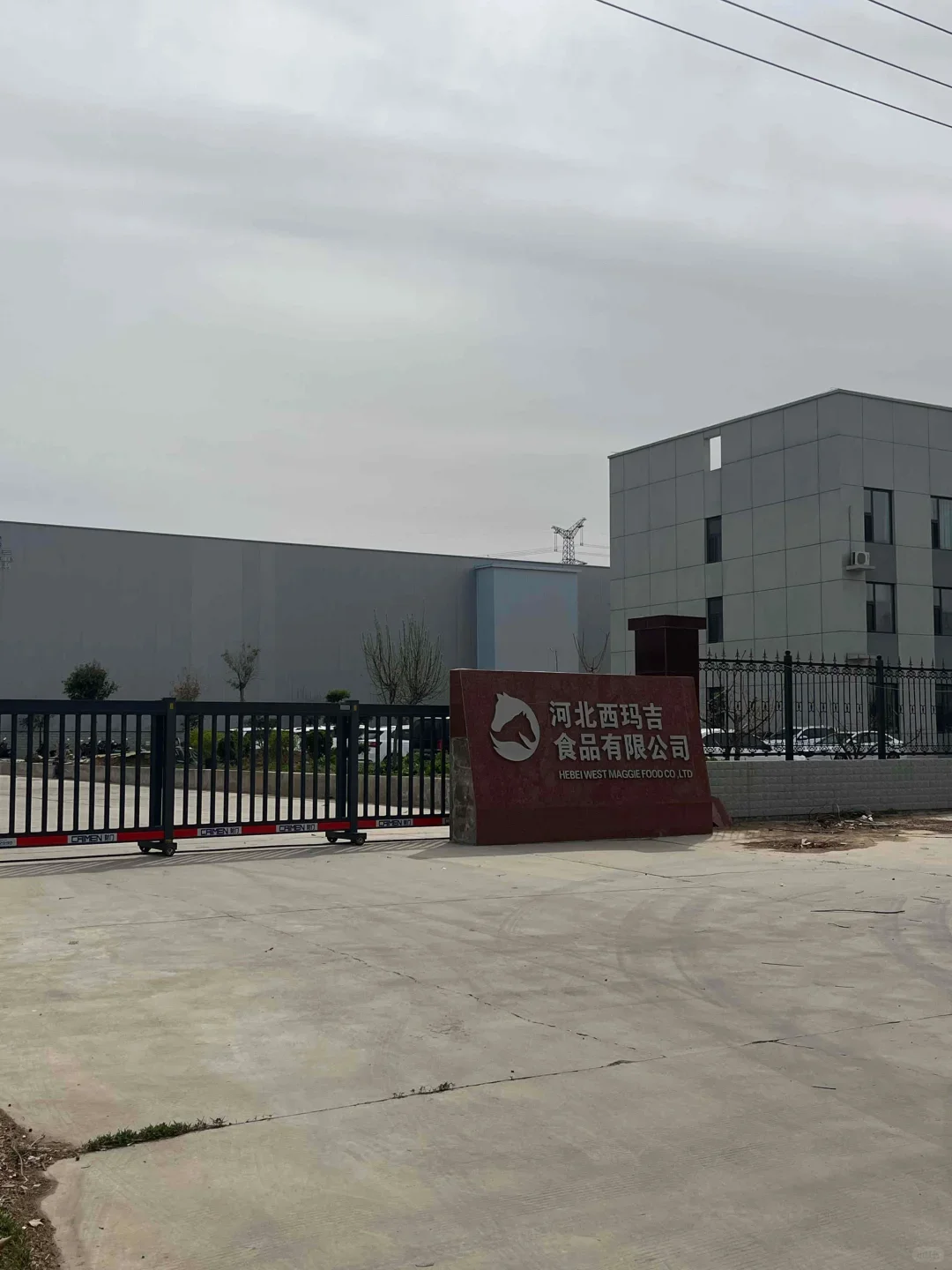 已经适应了石家庄面包厂里的生活