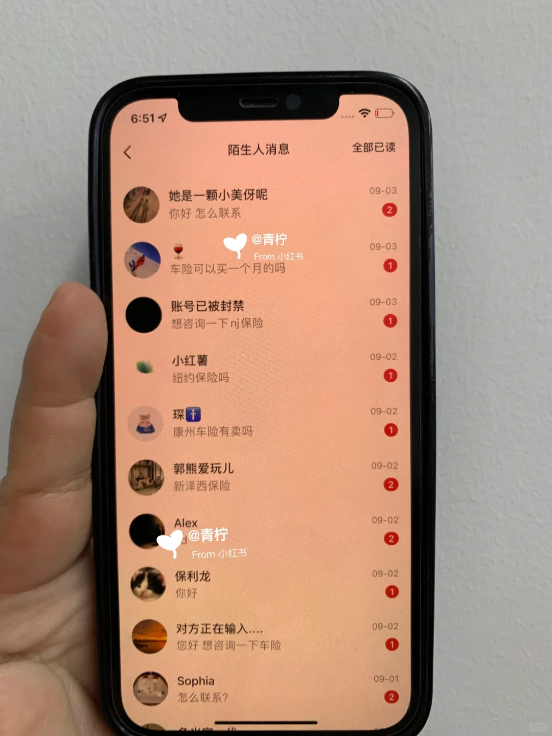 ??新项目已经忙不过来了～