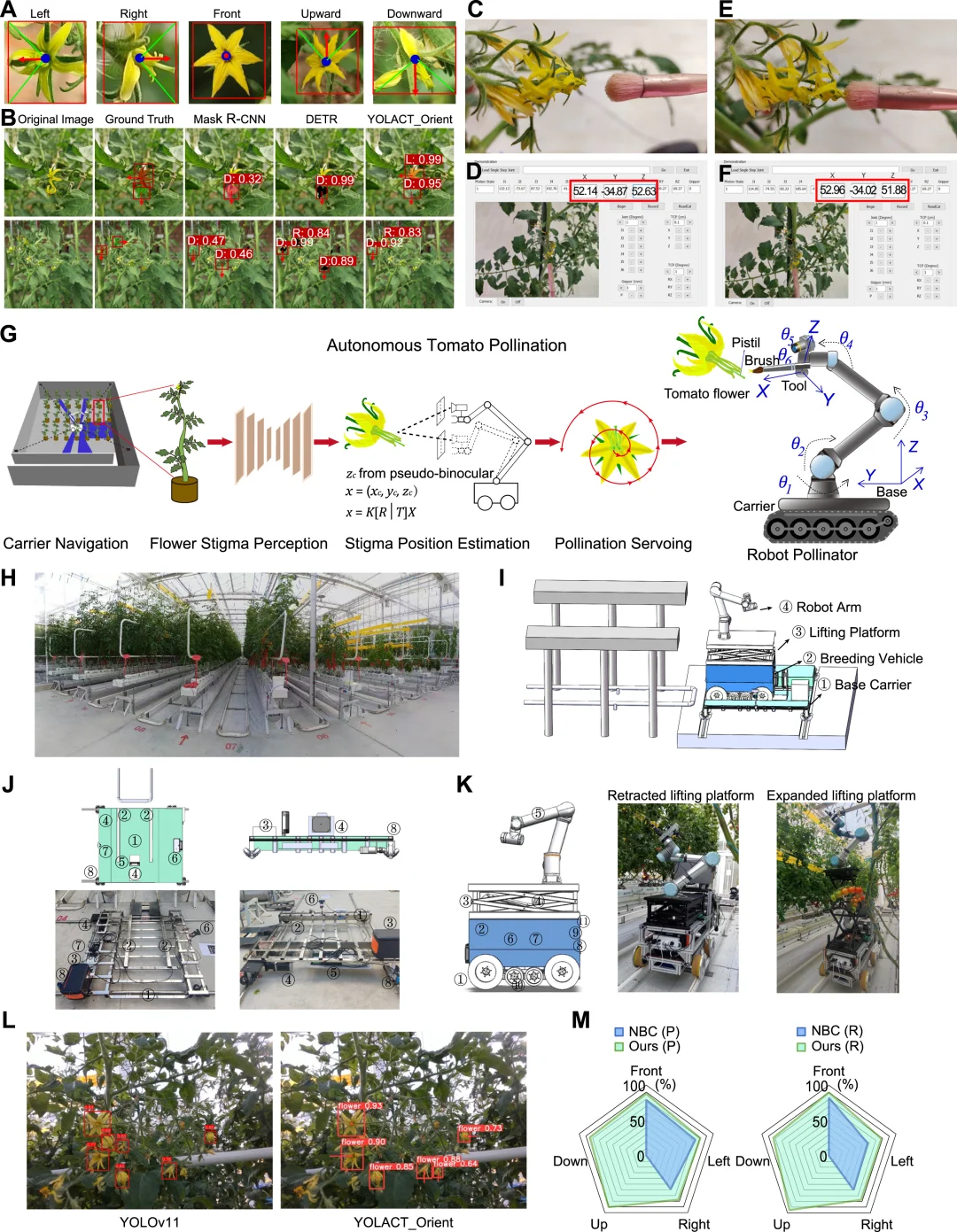 Cell 重磅!机器人授粉?助力农业具身智能