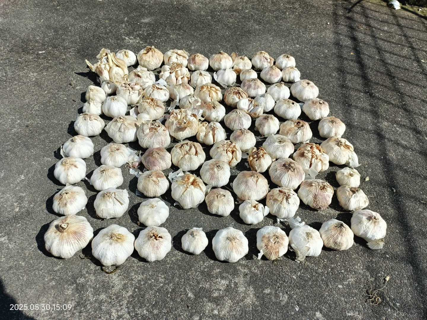 观察农村老人,发现了养老的真相