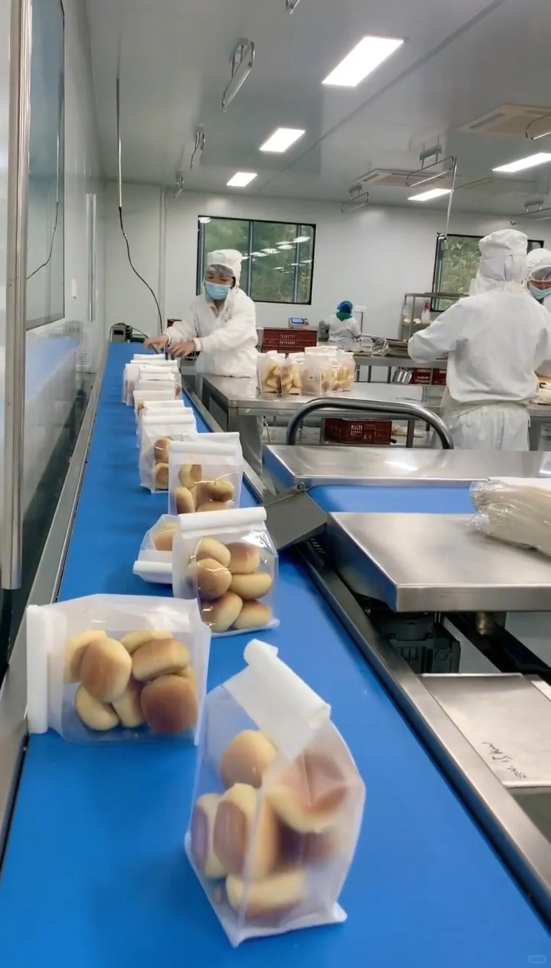 暑假和闺蜜一起进了食品厂