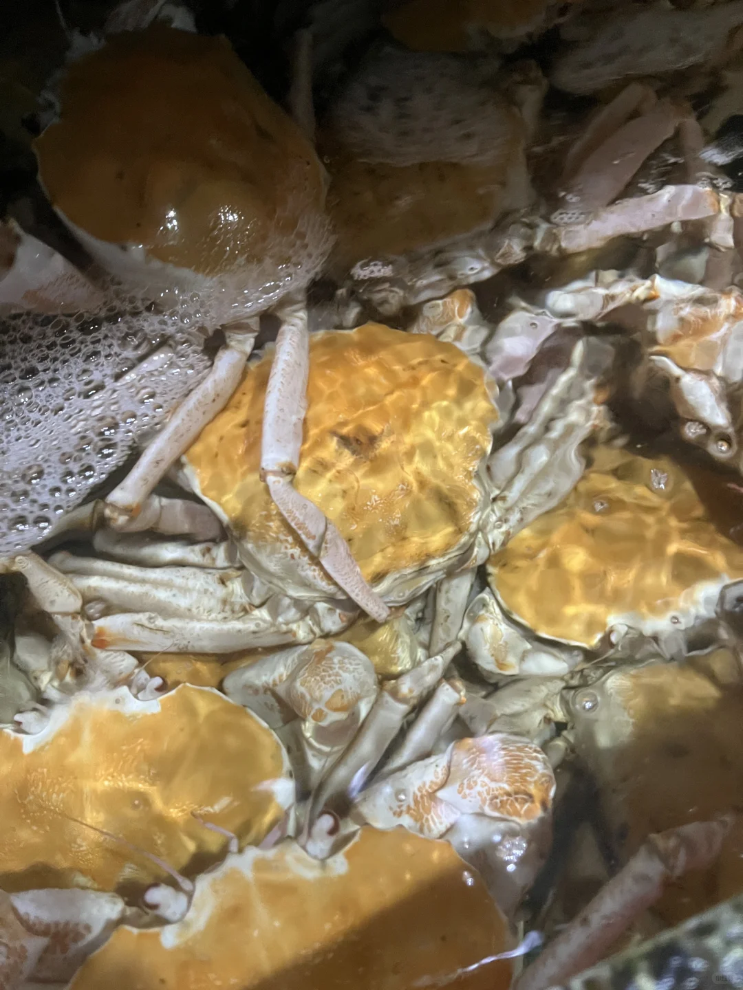 ? 上海江阳市场24h逛吃攻略