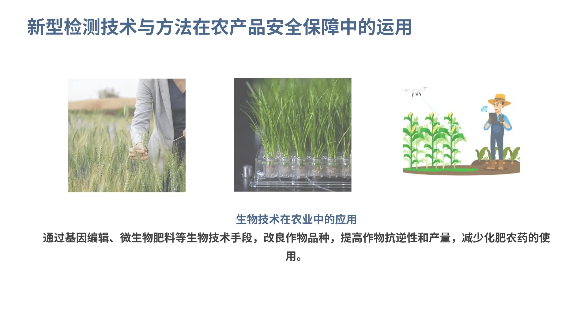 高科技推动农业可持续发展与农产品质量提升