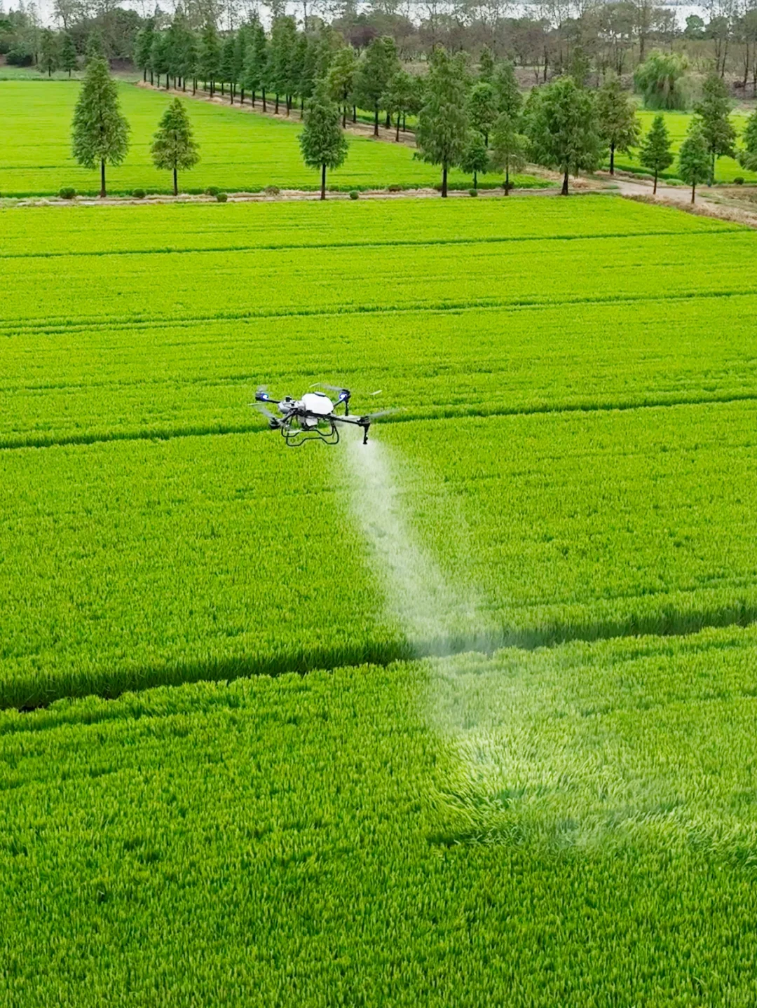 劝你别看!怕你发现无人机轻松赚钱辞职回村