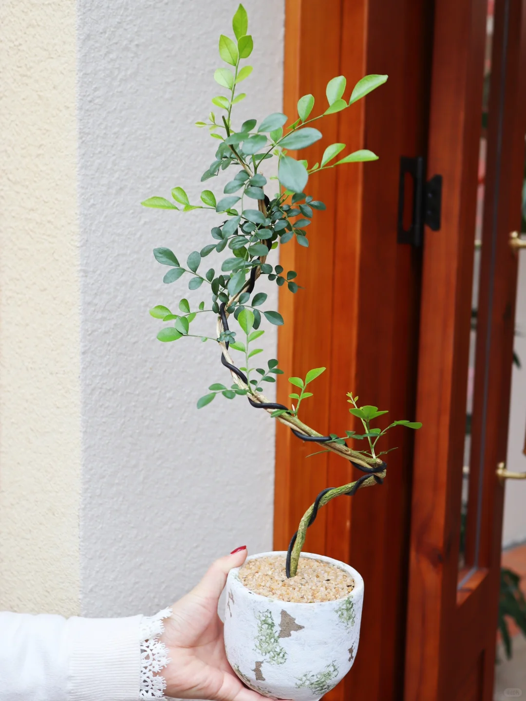 生命真是奇妙又美好的?