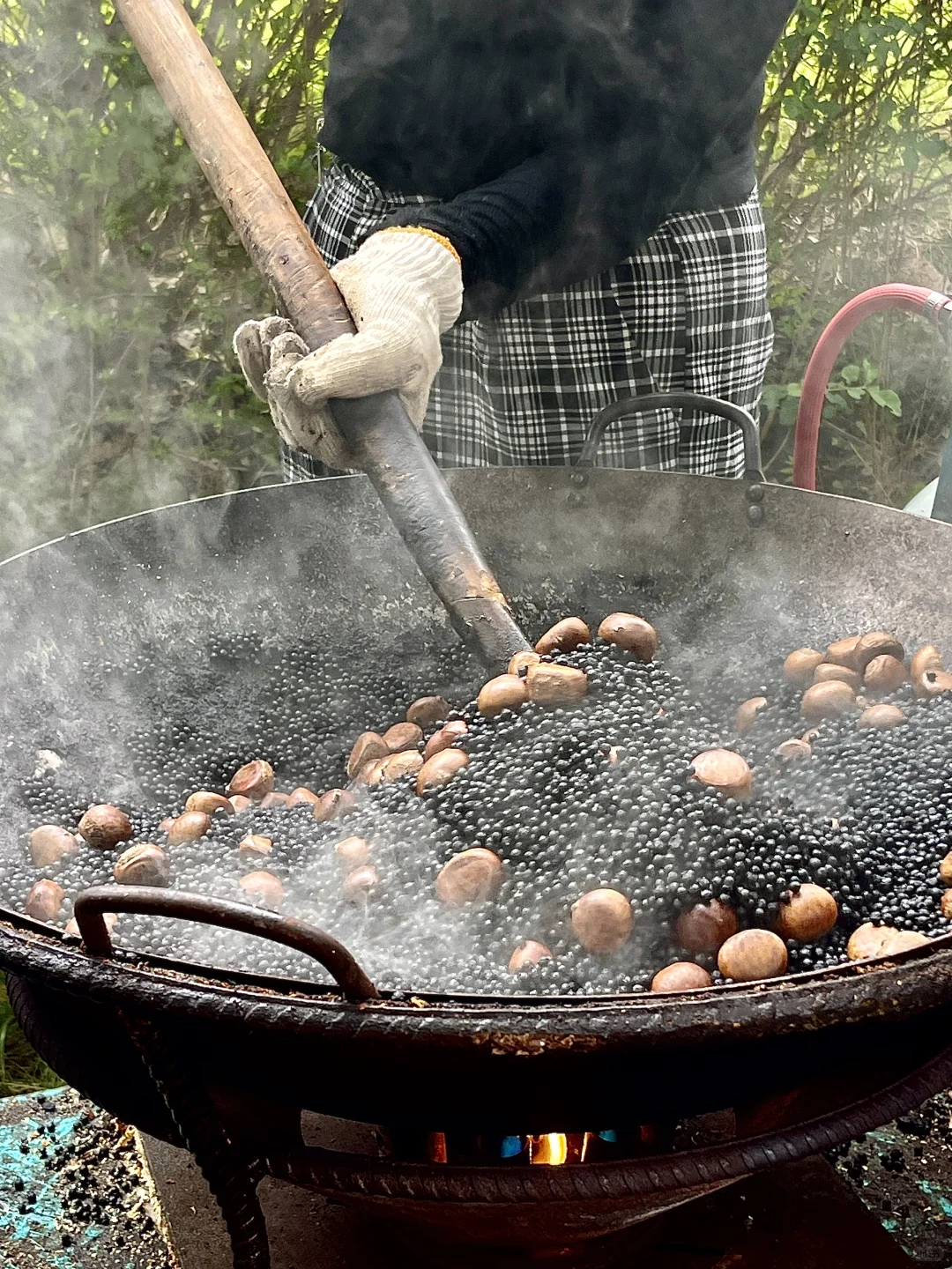 成电研1️⃣｜国际文化交流节～