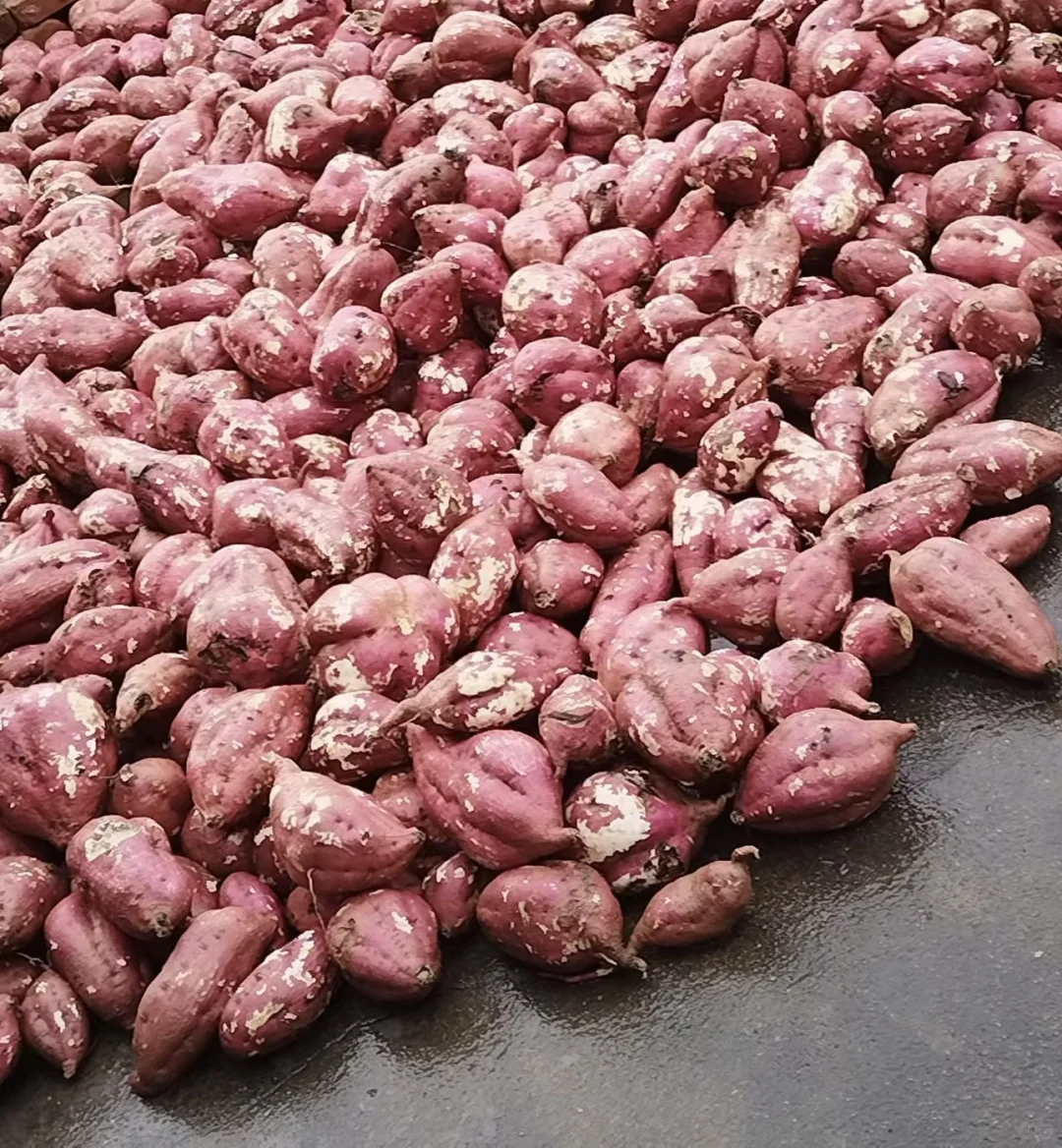 农村正宗手工红薯淀粉～