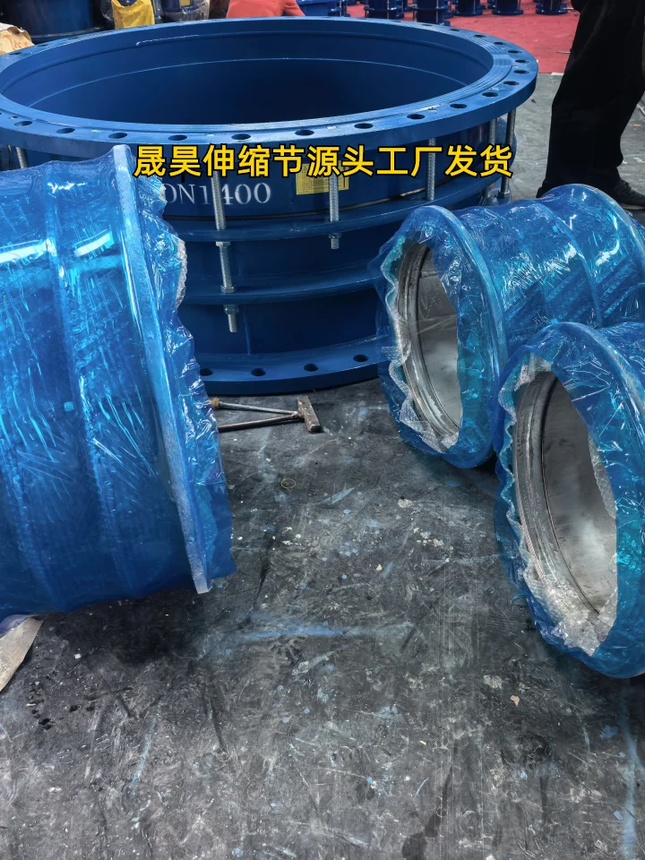 阳泉DN100泵阀伸缩节