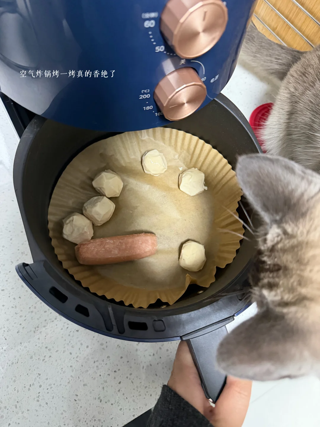 存钱plog｜冬天的暖意 必然是火锅给的?