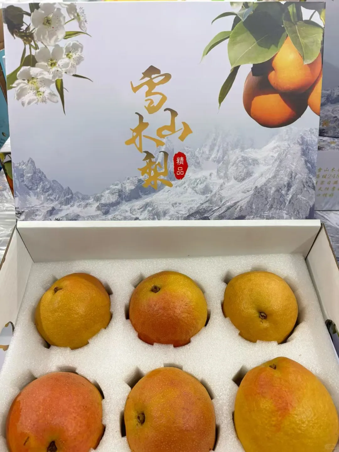 丽江雪山高原木梨