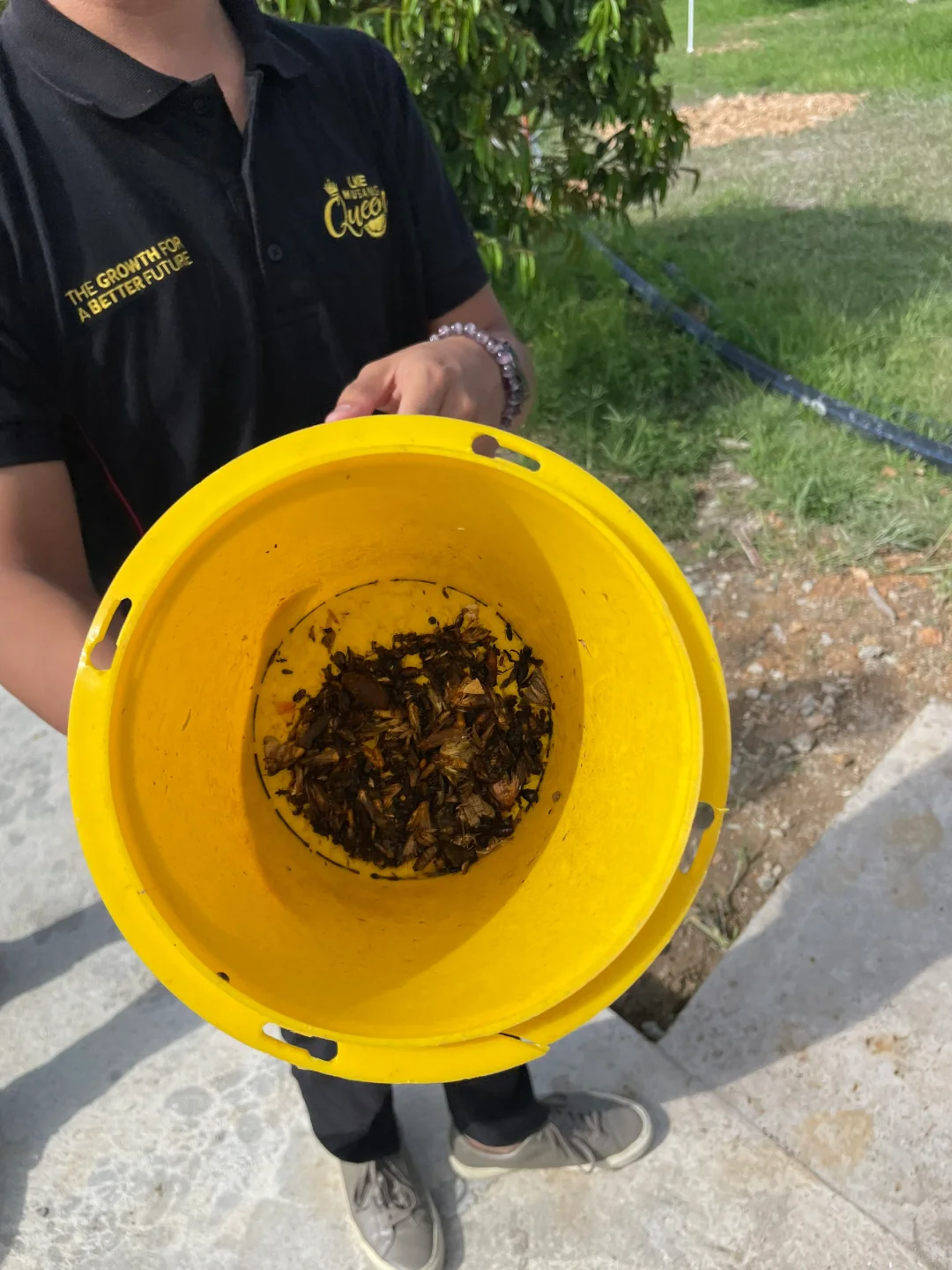 当高科技遇到最传统的农业?!?