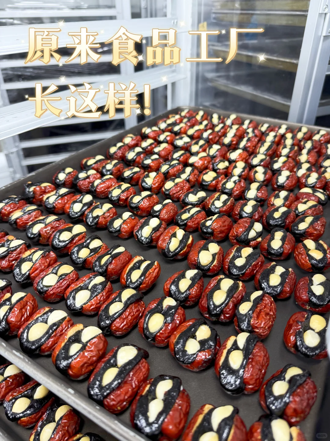 原来食品工厂长这样?