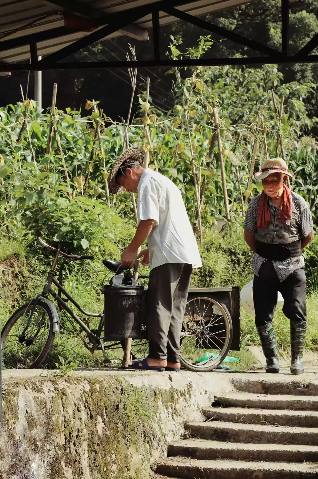永嘉楠溪江畔的劳动者