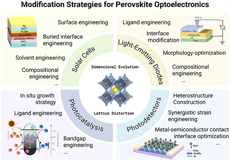 上海交通大学: 钙钛矿光电器件的材料调控