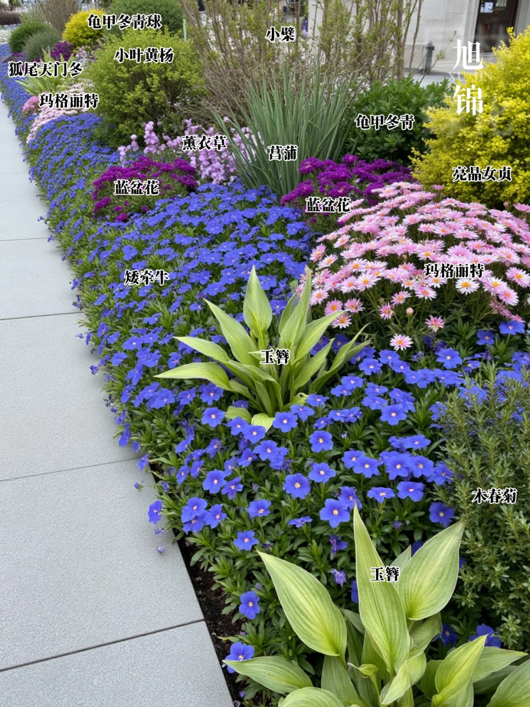 超实用!庭院花境搭配万能公式