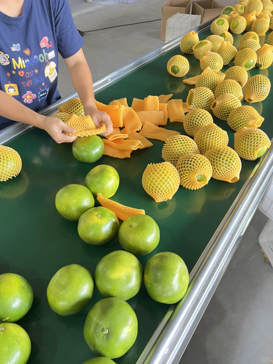 俺在5000多平的柚子厂打工