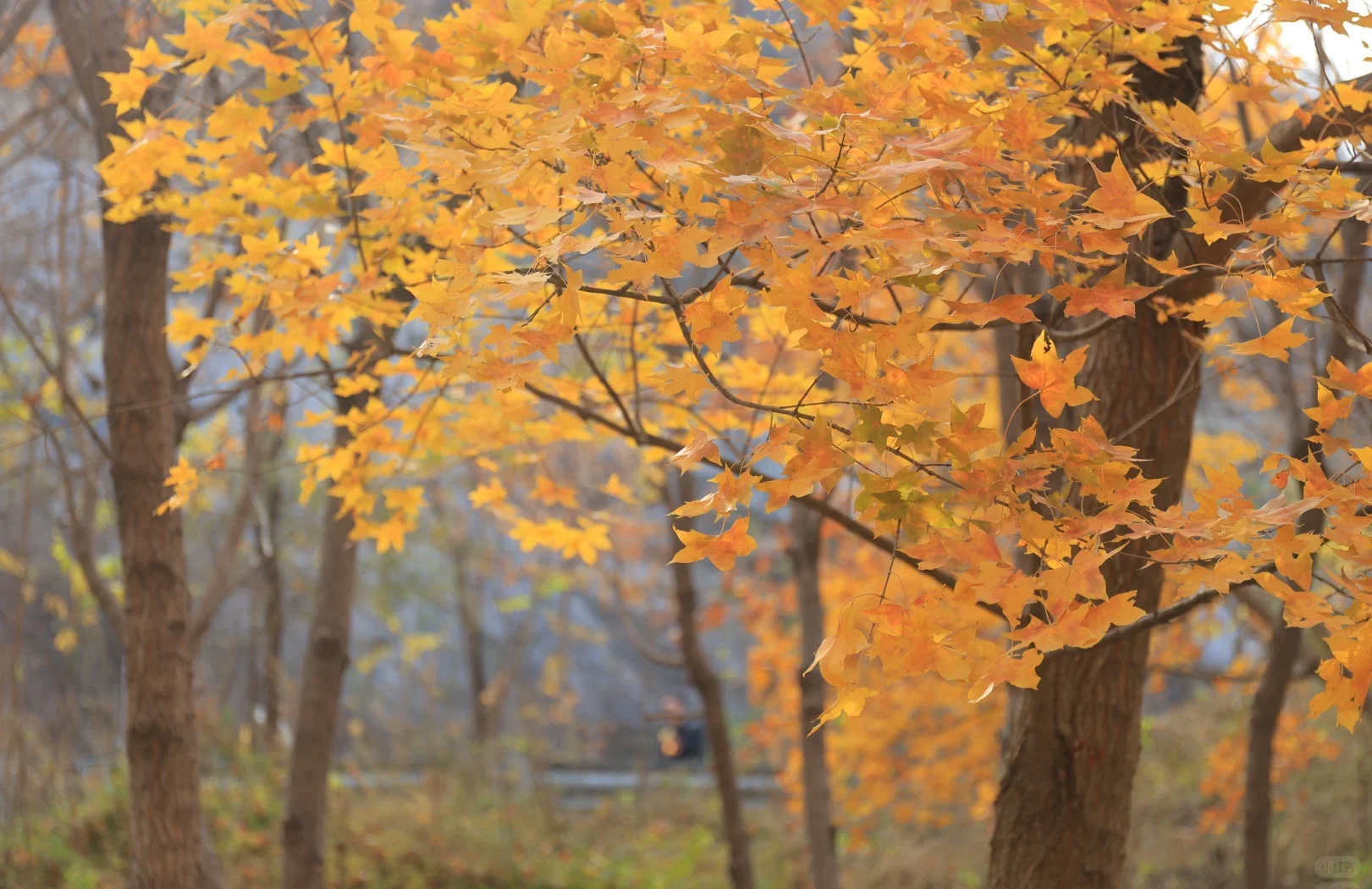 11.8[周六]【京门铁路-广化寺-琉璃渠】户外