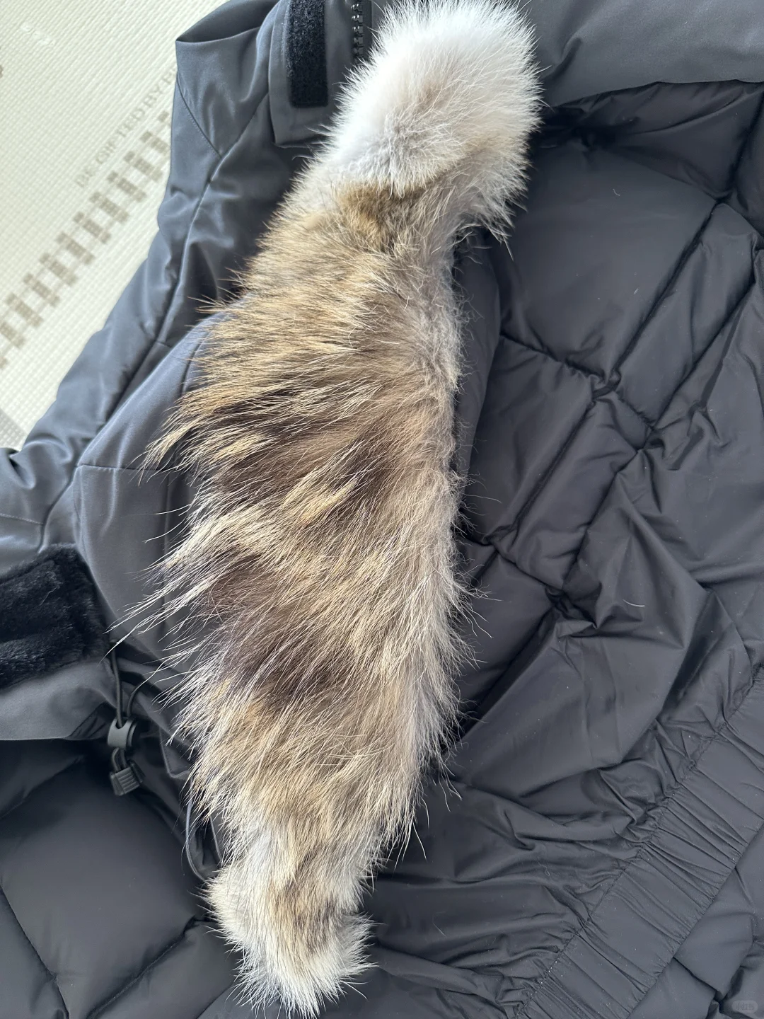 大鹅石墨灰羽绒服