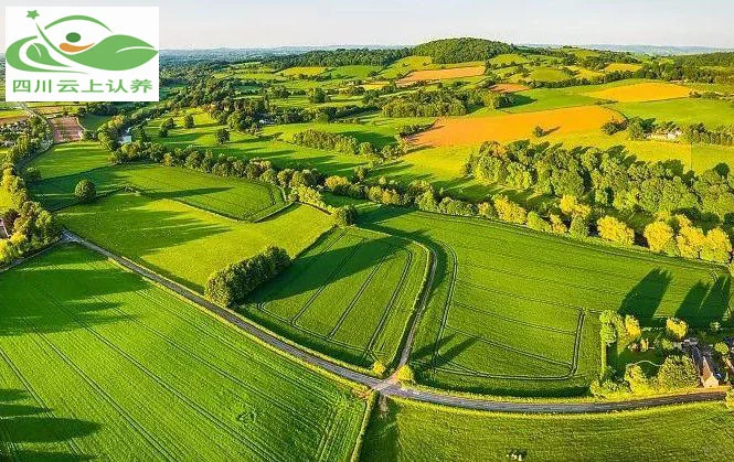 2025年可视化认养农业的发展趋势与展望!