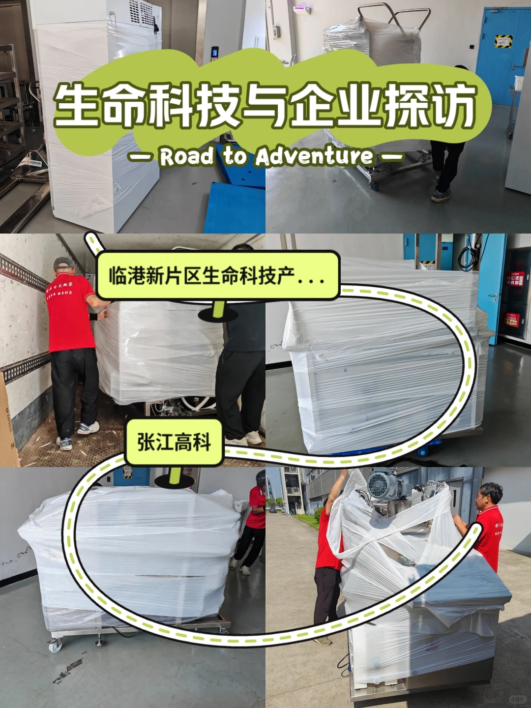 上海顺周日试搬家