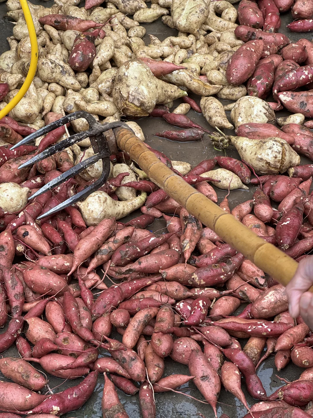 一度电用一天！