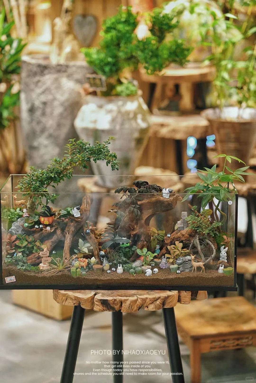 忙碌的周末? 今日零售破6000➕