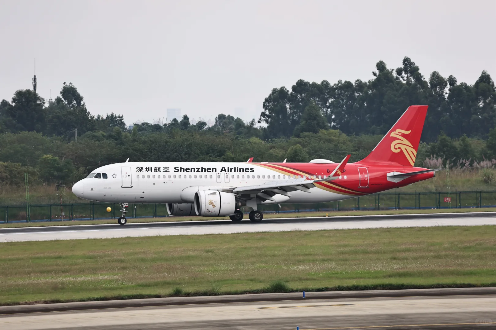 双流难得白天出好货（还扎堆）