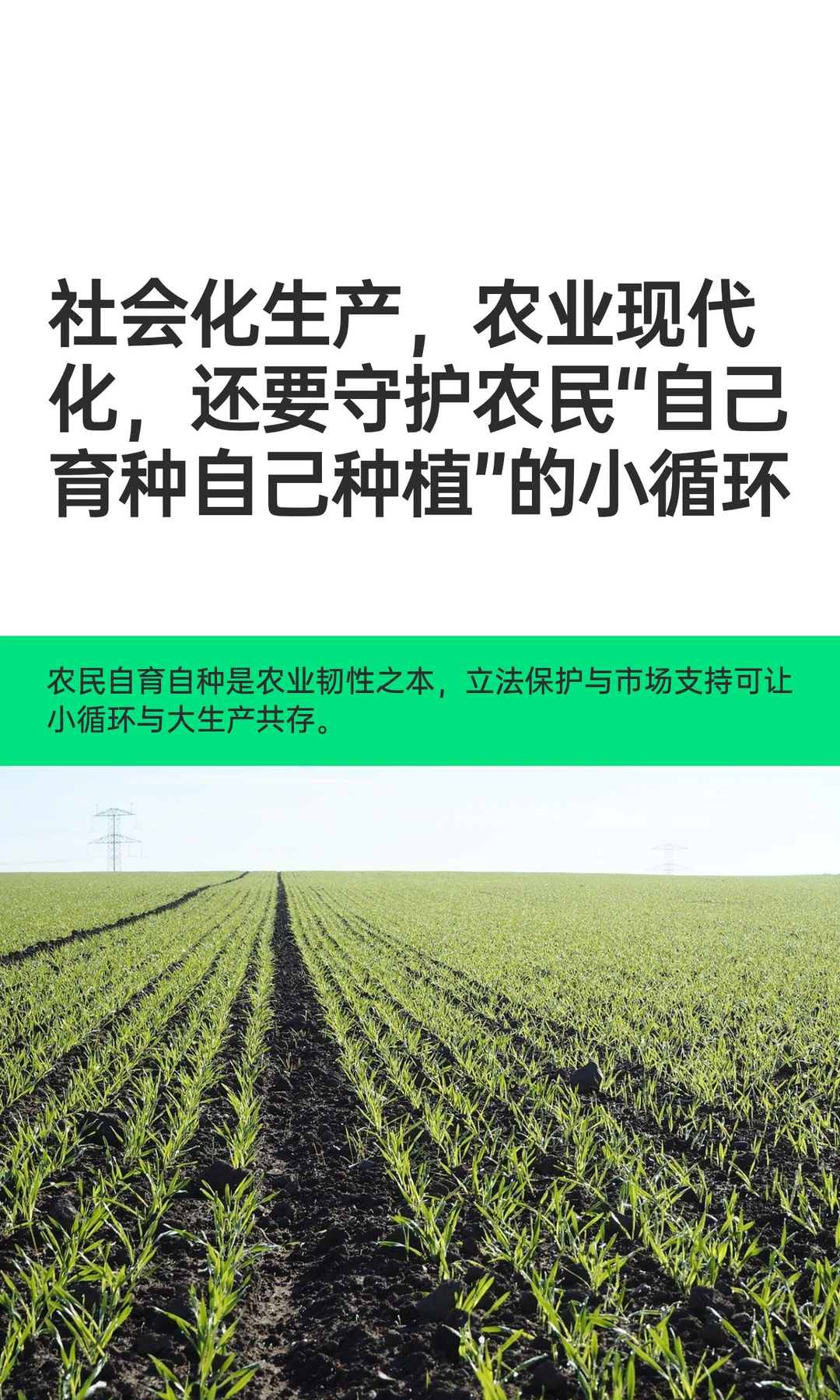 社会化生产，农业现代化，还要守护农民“自