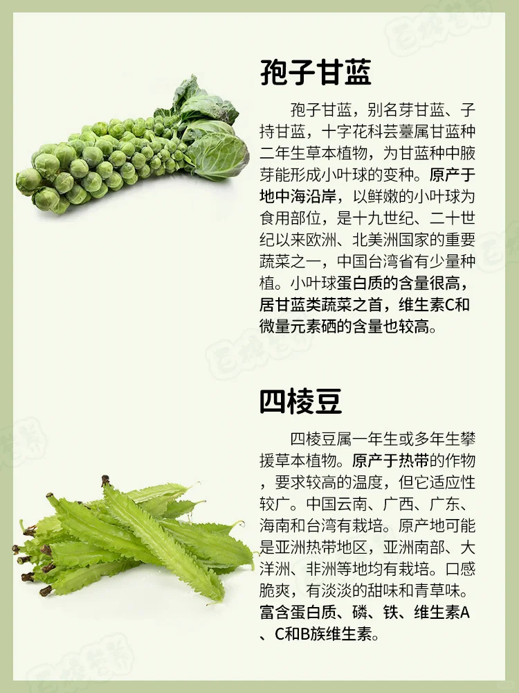 ✨?快来PK，谁能荣登蔬菜王者宝座？✨