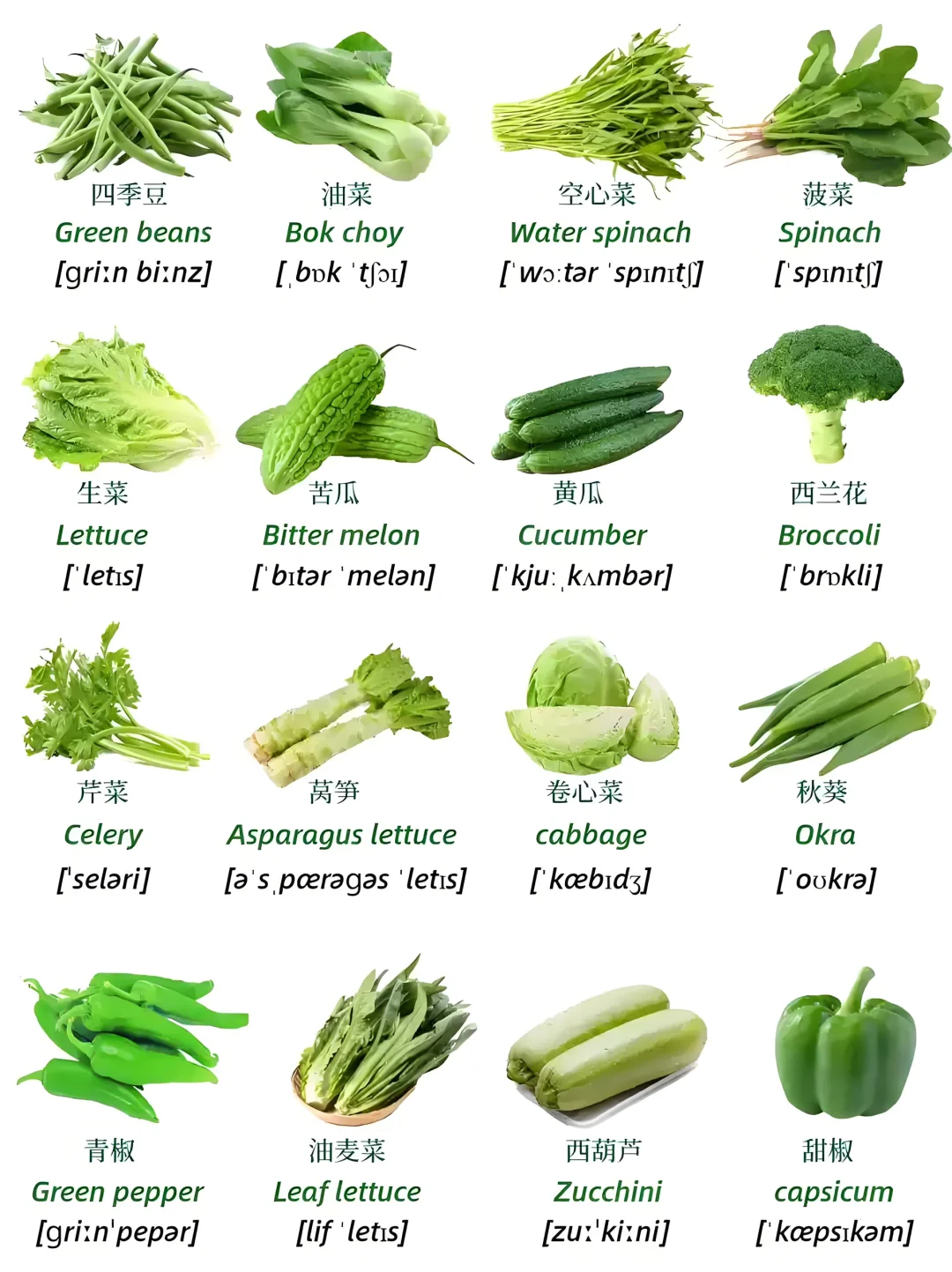 ???英语蔬菜词汇大集合??