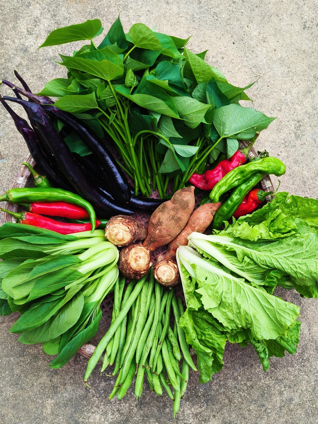 每月150的农家生态蔬菜组合，全国包邮