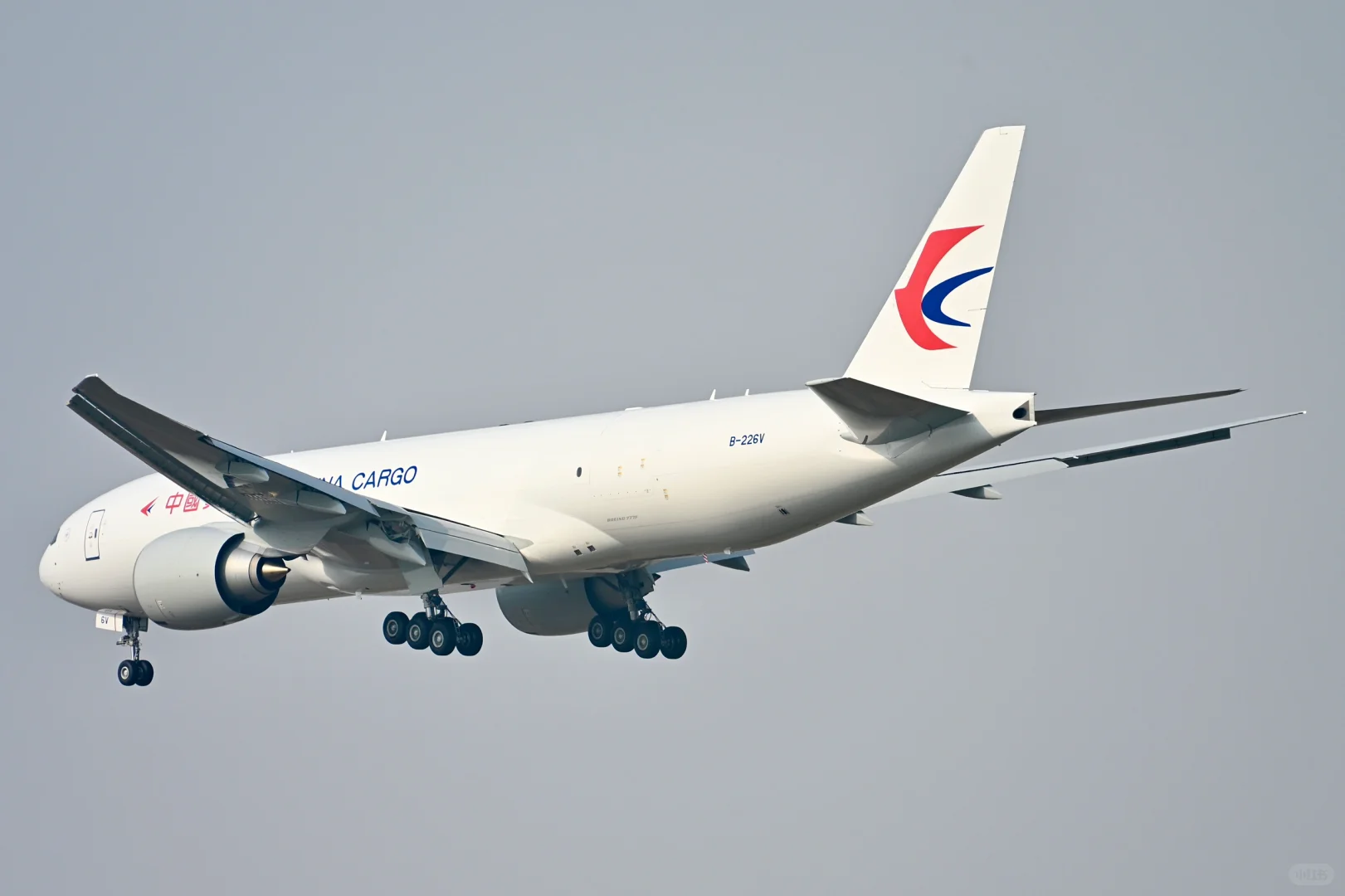 中货航最新接收一架77L落地PVG