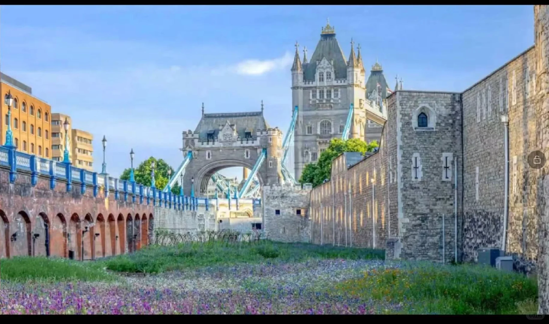 Rewilding(重新野化土壤)—审美观念的转变