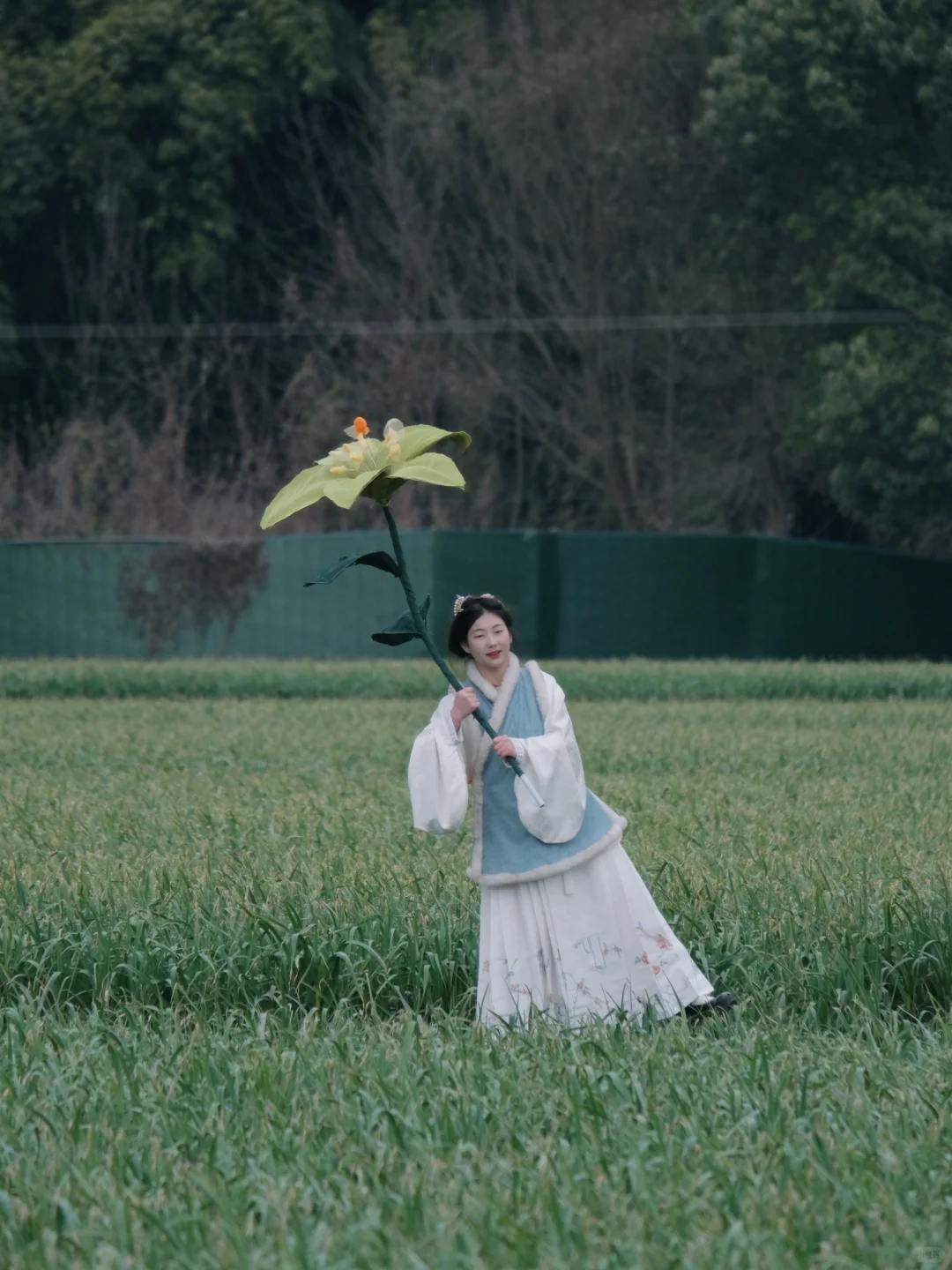 高山大蒜季 ｜ 青年共创，我们在乡村。