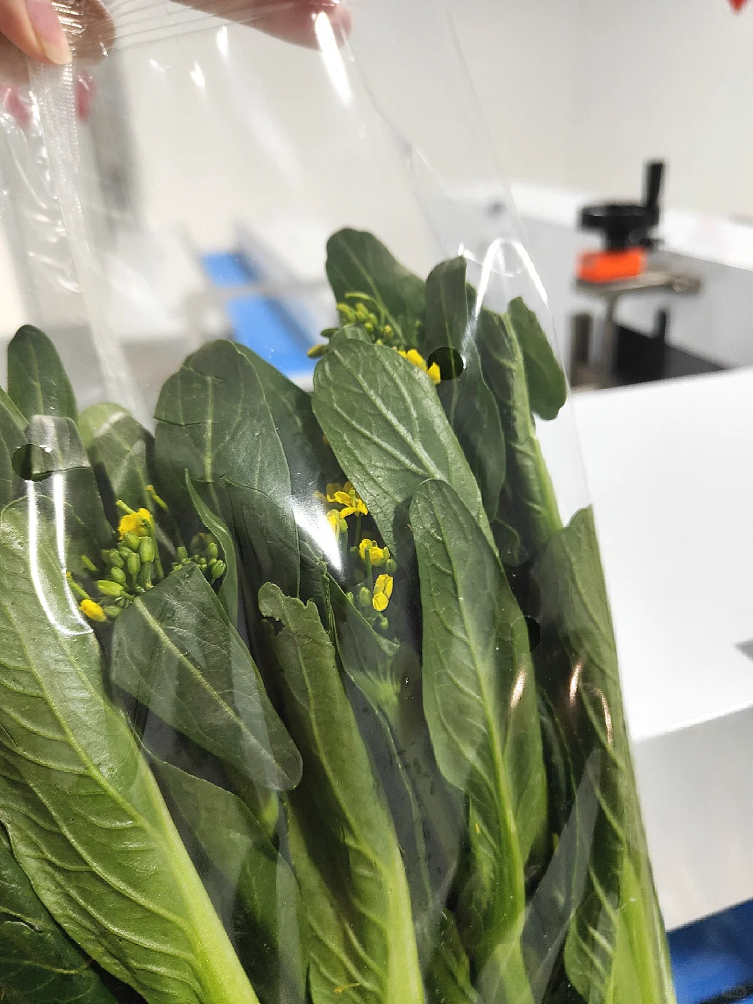 ?救命！这包装机让我爱上打包！?