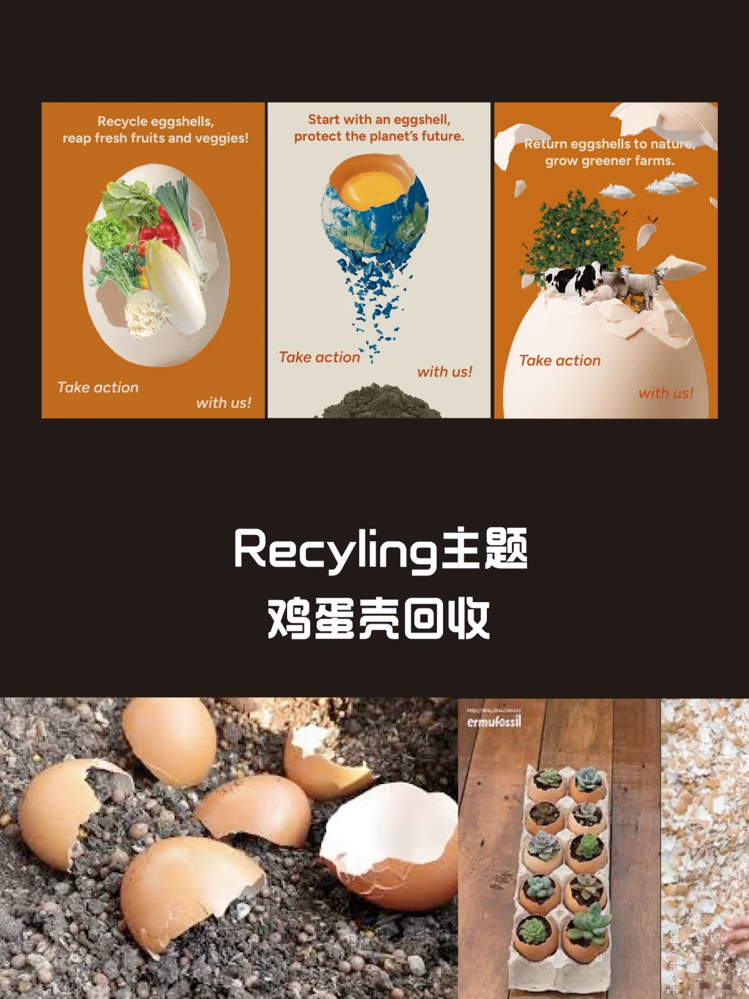 鸡蛋壳回收循环