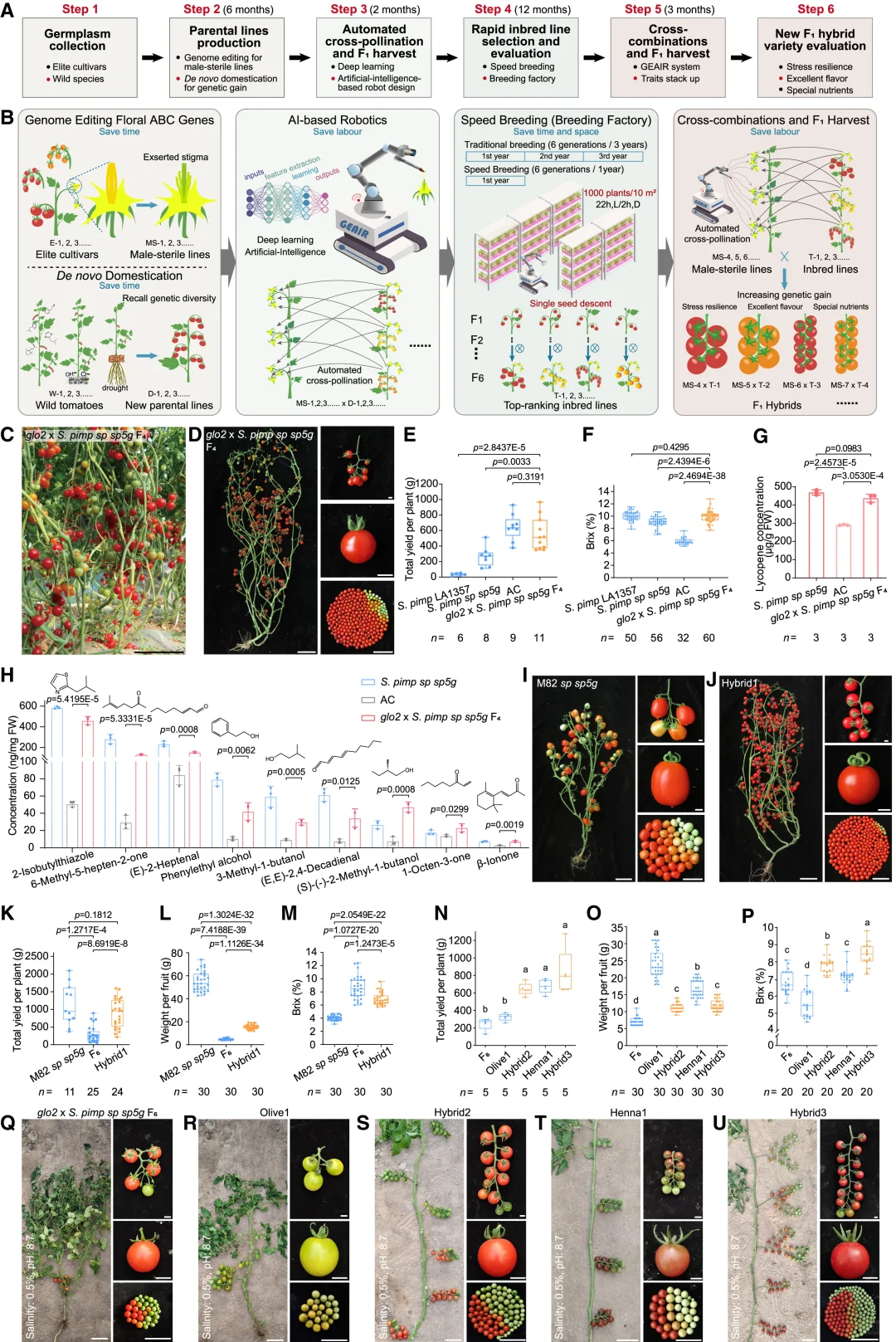 Cell 重磅!机器人授粉?助力农业具身智能