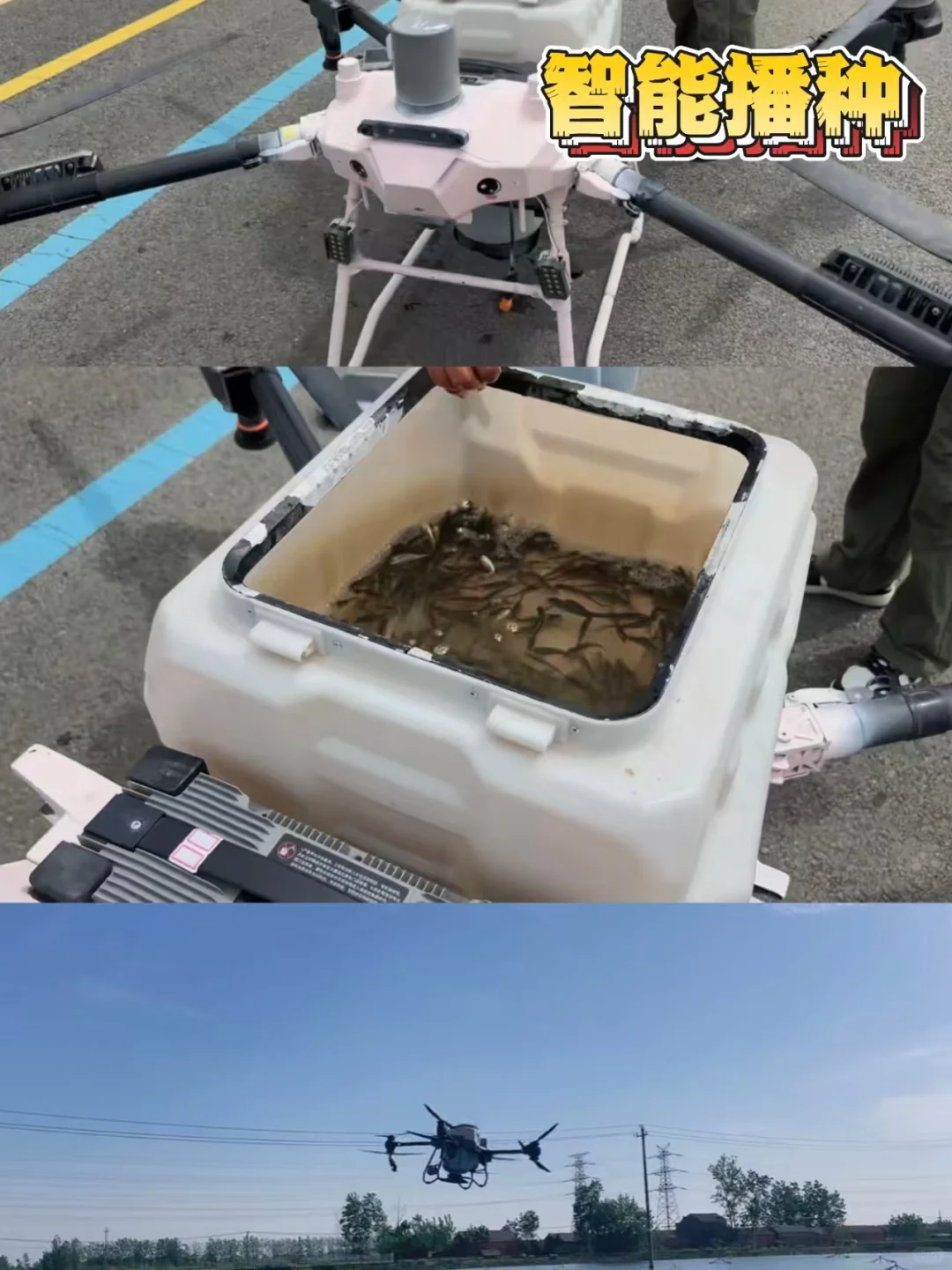 无人机居然能播鱼苗/运茶...