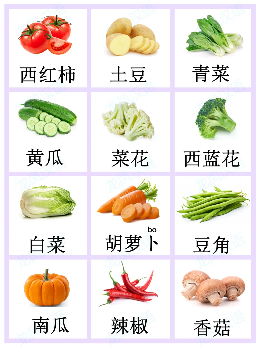 蔬菜闪卡//华裔学中文