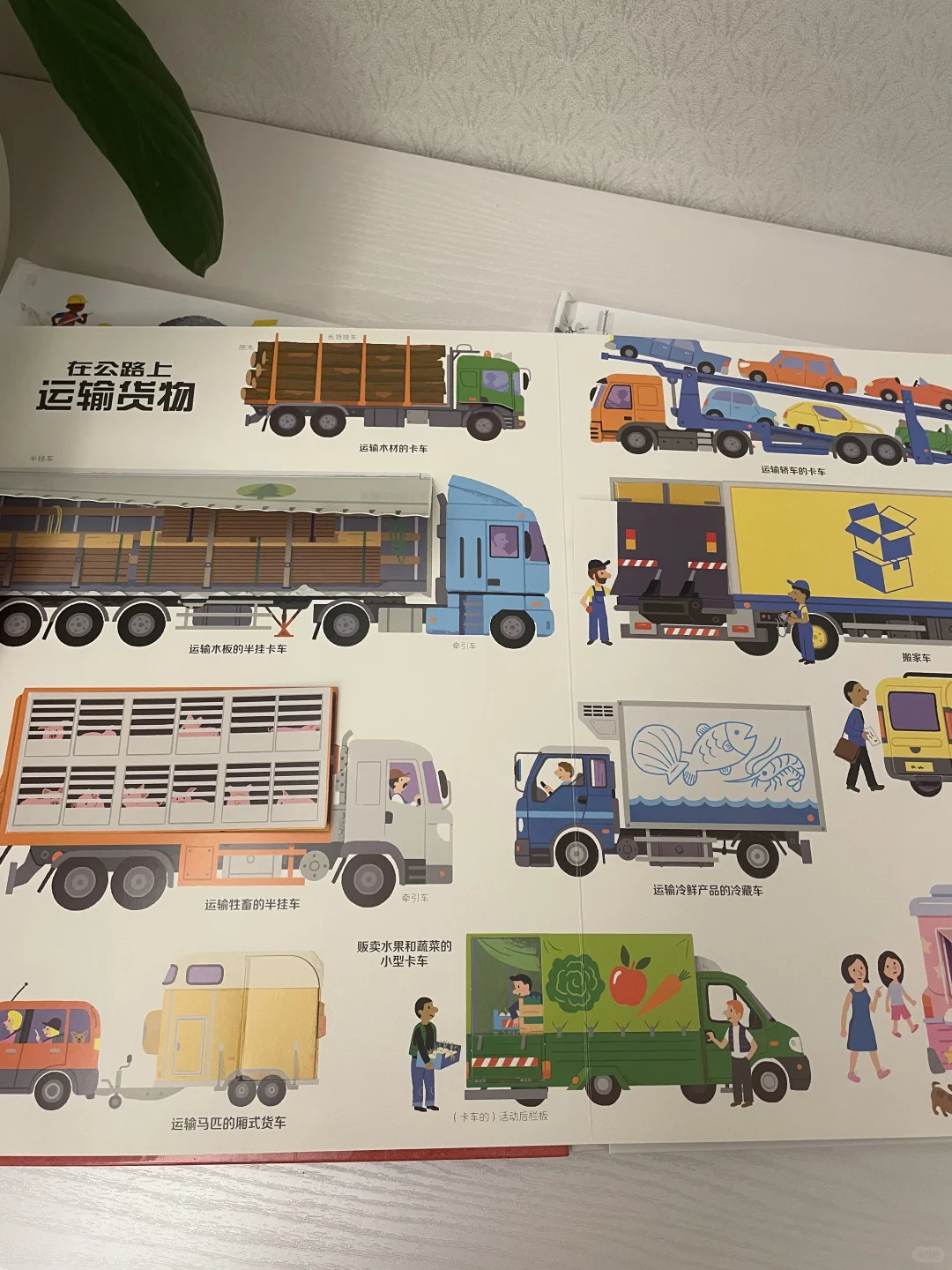 轻科普来喽❗️一书在手,知道多少交通工具