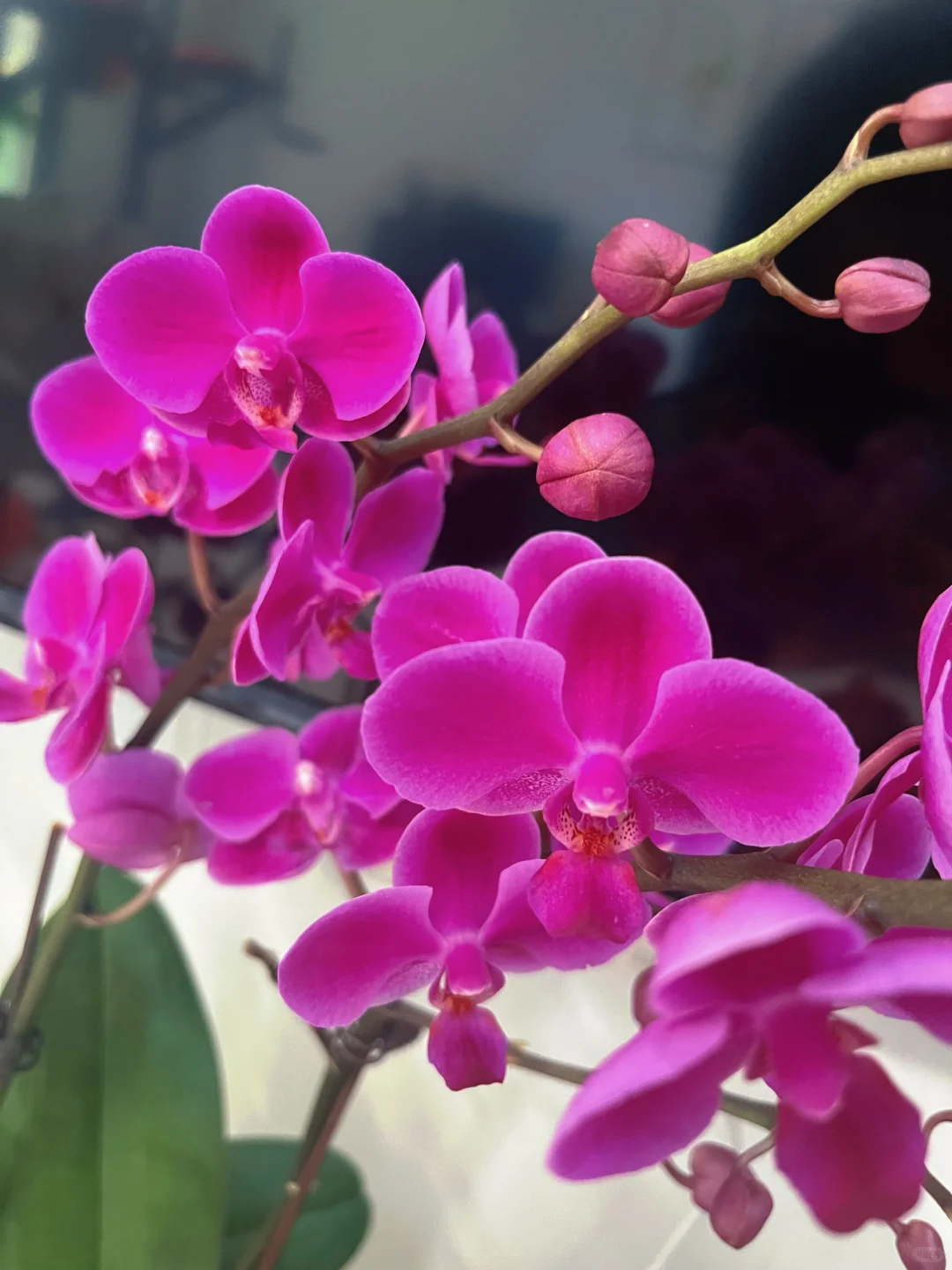 奉劝大家入坑需谨慎?