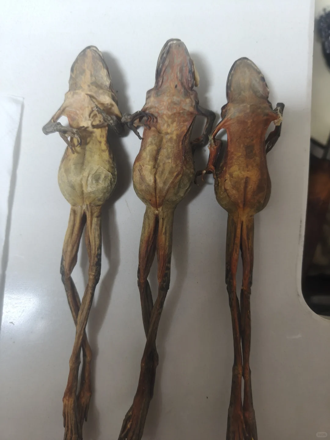 林蛙干，黑木耳，蘑菇